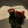 illx_2855