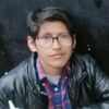 davidllanquemendoza1