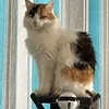 mimi63saly63