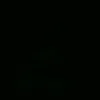 _nicoll._10