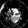file3x