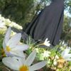 userrw4w77gqfs