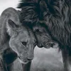 raghda_basim