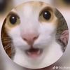 el_momos_3312