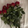 dfer5573611103284