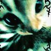 ratita_rat