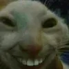 jemrhel