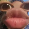 lauradsns