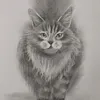 ken191283