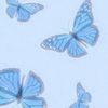 alli.heart