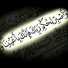 user5055281237779