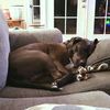 i_wanna_go_home_3662