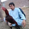 ikrambarki810