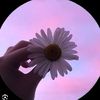 eve_aval