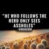 who.fucking.cares3