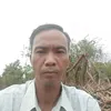 them_81