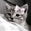 _zxnruu_007
