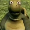 secretboy2011