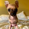 tinkerbel123.0