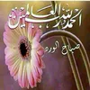leilaoubbay