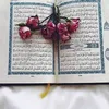 yassinealamie805