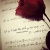uservdu3w4w4m5