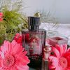 horizon.perfumes