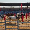 Tsuje Brahmans 🐄🤠