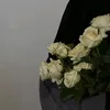nabaa2378