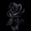 youcefmakh6