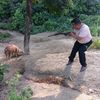binodgahamagar_12