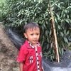 sutar._75