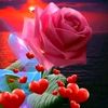 user73135938538224