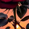 user6351108161512