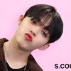 scoupsgojes
