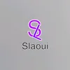 slaoui.fashion
