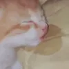 waaaatth