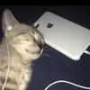 chelssy_segunda2