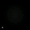 freider_9
