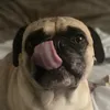 chunkyboi3