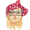 catloverstiktokvideos