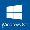 Windows 8.1