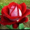 mohamedjaberjab13