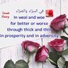 uservb456vi88h
