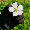 ifka_252