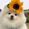 heyaccountnotfound