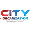 Organizasyonuzmanı