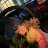 asma_sh_23