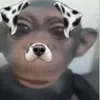 truonganhhao777