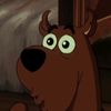 jarl_yars